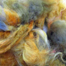 Baby Camel Merino Fibers from from Lisa Souza